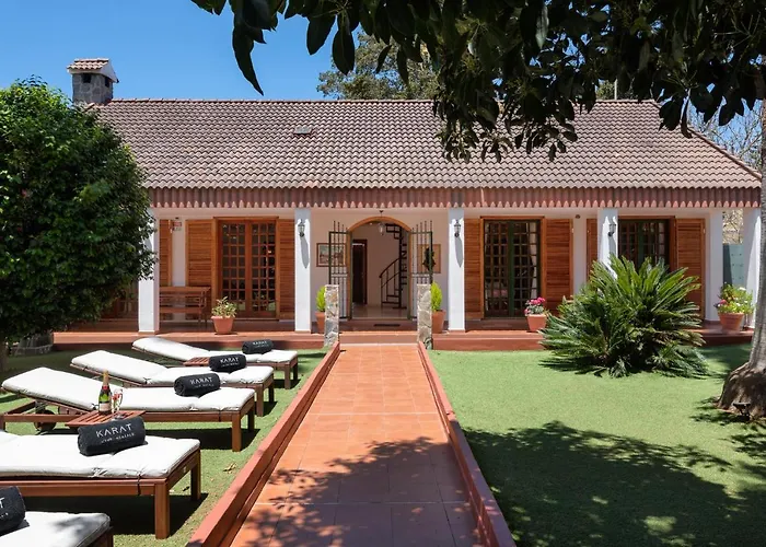 Karat Fernanda 타코론테