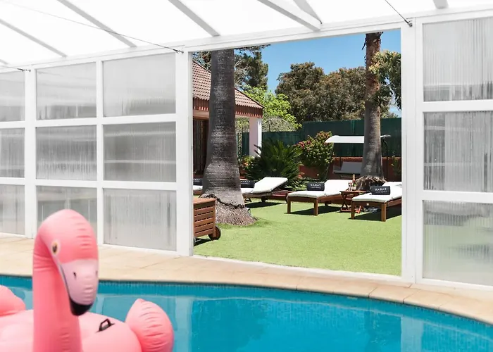 Karat Fernanda 타코론테