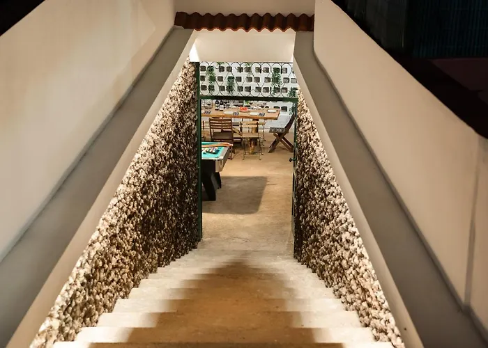 Karat Fernanda 타코론테