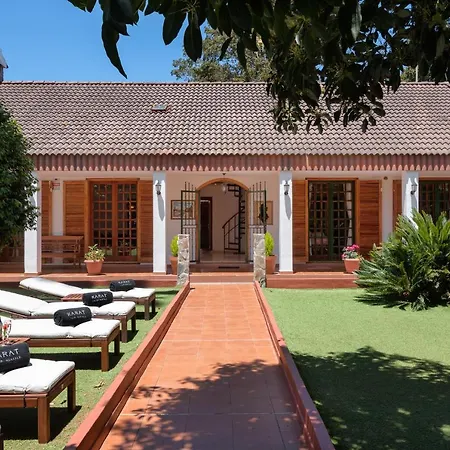 Karat Fernanda טקורונטה